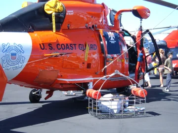Dolphin stranding Egmond highlights rescue challenges