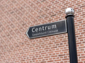 Dutch criminal evaluations at Pieter Baan Centrum