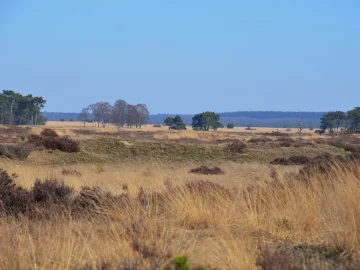 Dutch warm weather encourages outdoor activities