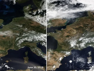 Heat smog pollen risks in Netherlands
