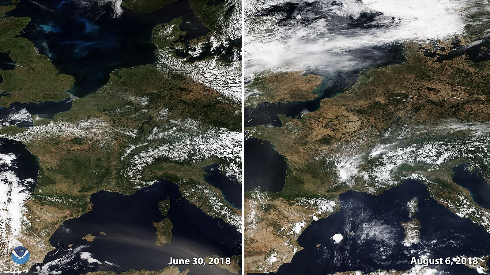 Heat smog pollen risks in Netherlands