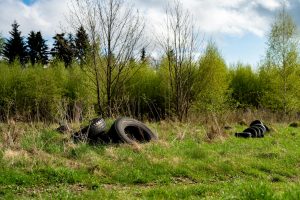 Man arrested after bathroom waste dumped in Tilburg nature reserve