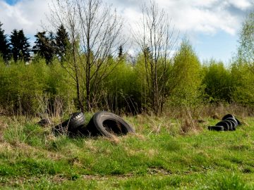 Illegal dumping Tilburg: bathroom tiles and toilet discarded in Moerenburg nature reserve near A65 highway