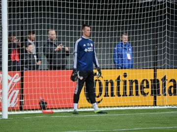 Nesting seagull disrupts soccer matches in The Hague