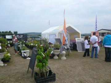 Oerrock solar energy powers 12,500 panels