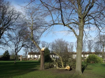 Zwolle cemetery damage raises concerns