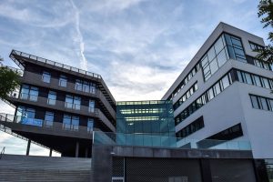 ASML Revenue Faces 36% Drop Amid US Trade Concerns
