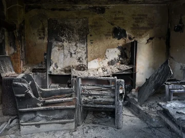 Dog casualties house fire in The Hague
