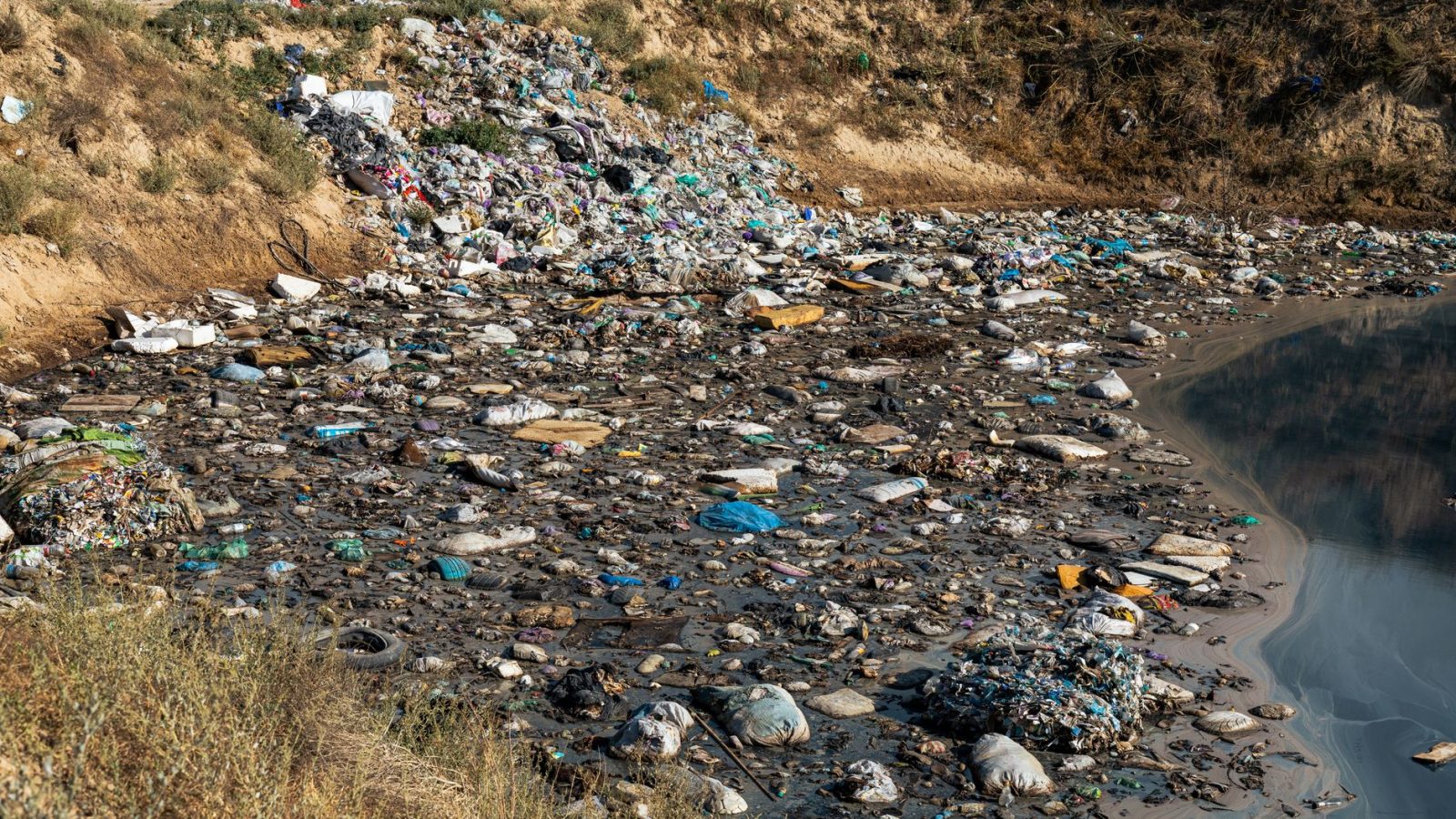 Dutch plastic gum ban to reduce litter