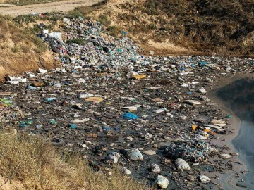 Dutch plastic gum ban to reduce litter