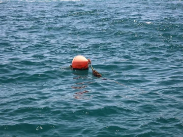 Evides confirms water safety in Dordrecht