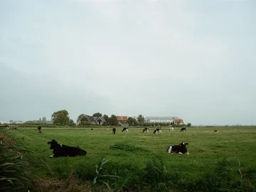 Farming proximity restrictions in the Netherlands