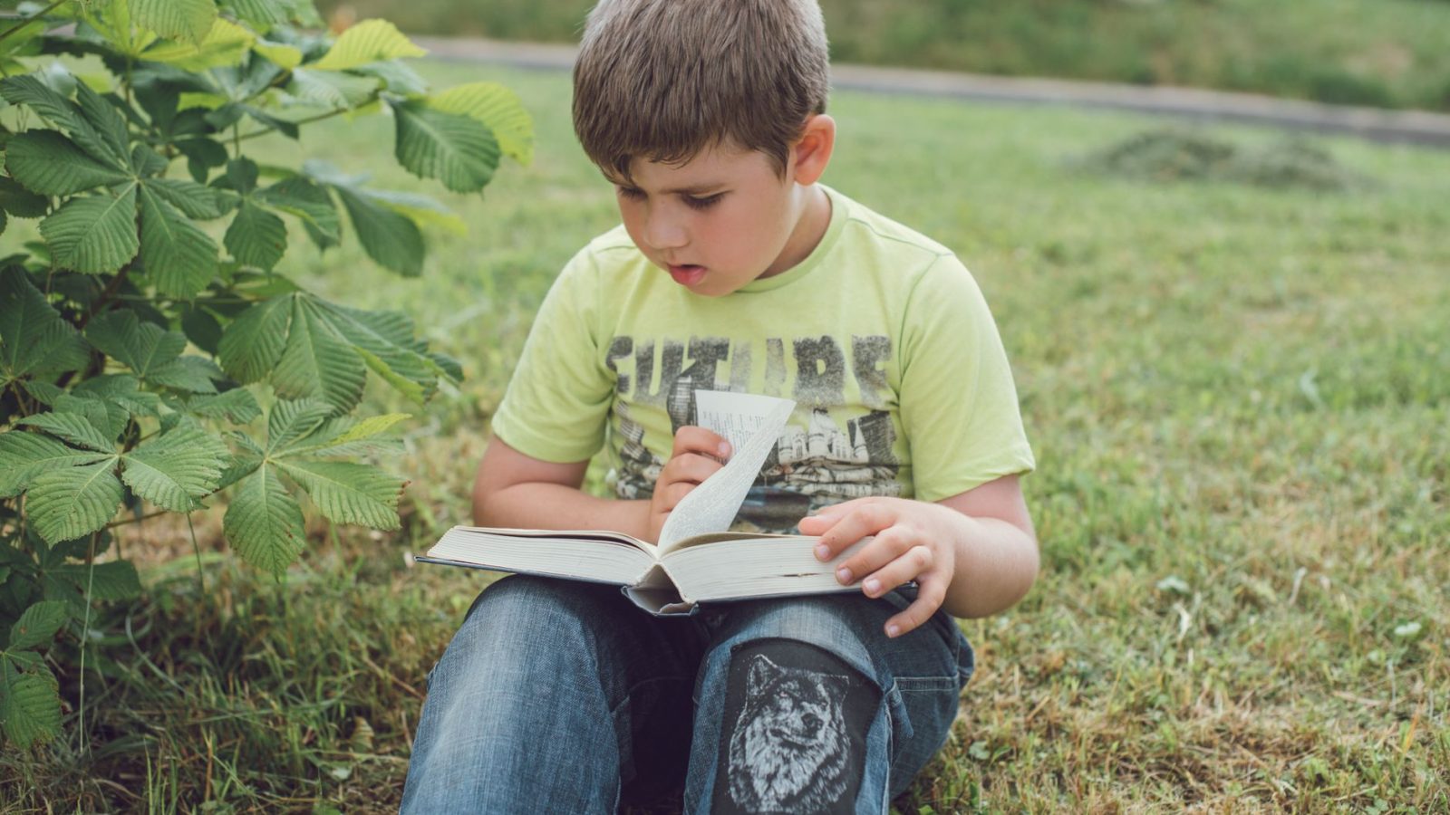 Friesland literacy programs boost with €30 million