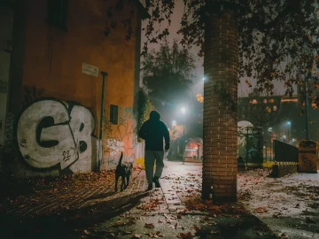 Nacht van de Vluchteling raises €2.1 million