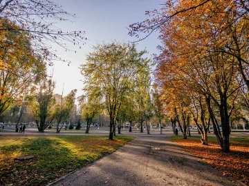 Netherlands Heatwave Warning for Thursday