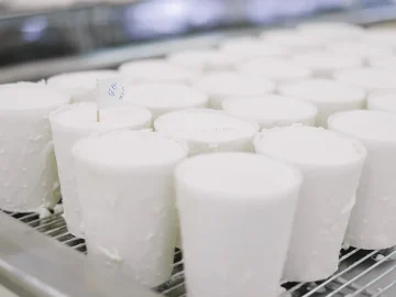 Rotterdam dairy dumping investigation