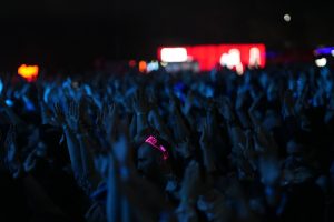 Rotterdam Festival Cancellations Raise Healthcare Concerns