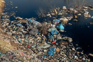 Sewage Overflow in Netherlands Health Concerns