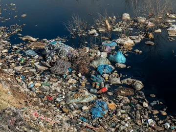 Sewage overflow in Netherlands