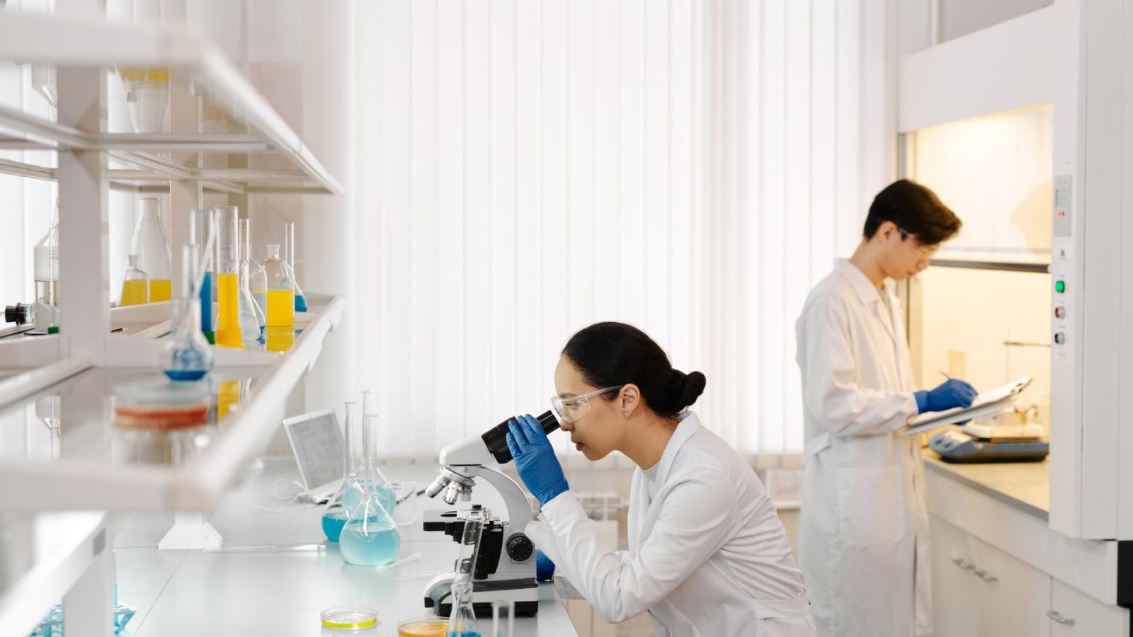 Spinozapremie award research stress responses