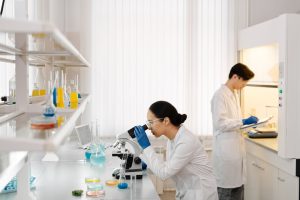 Spinozapremie Award Boosts Dutch Stress Response Research by €1.5M