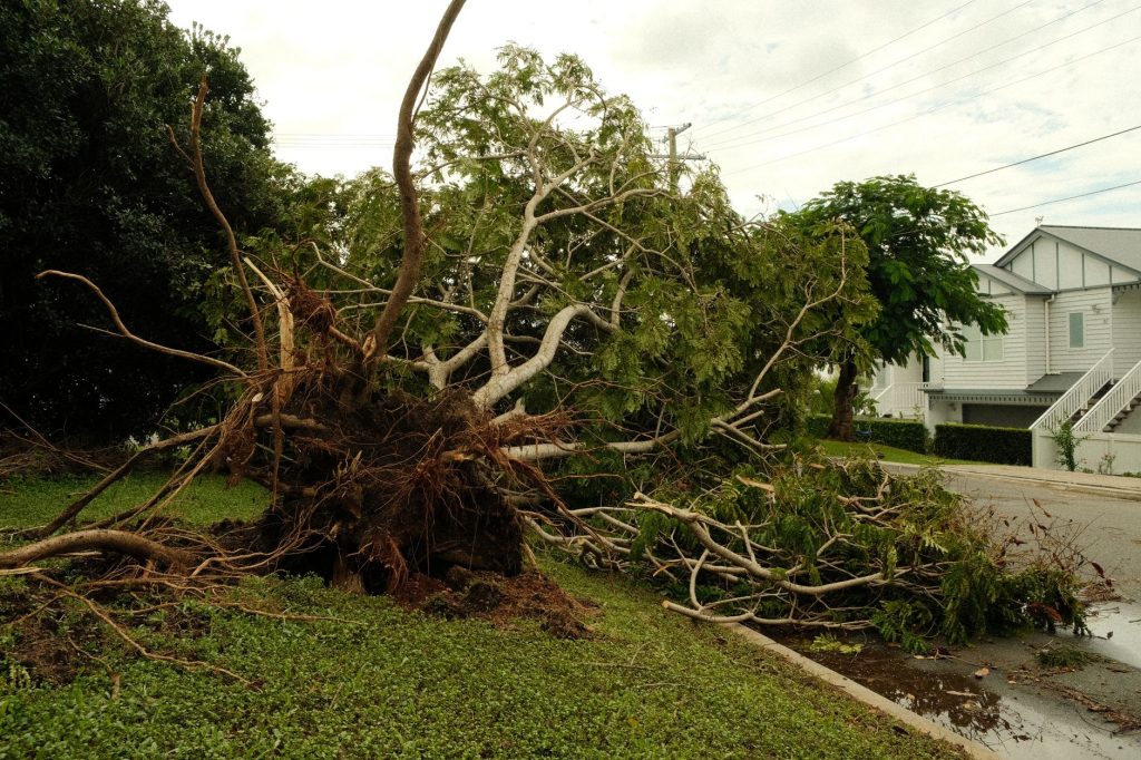 Storm Damage in Netherlands: 90 km/h Winds Wreak Havoc