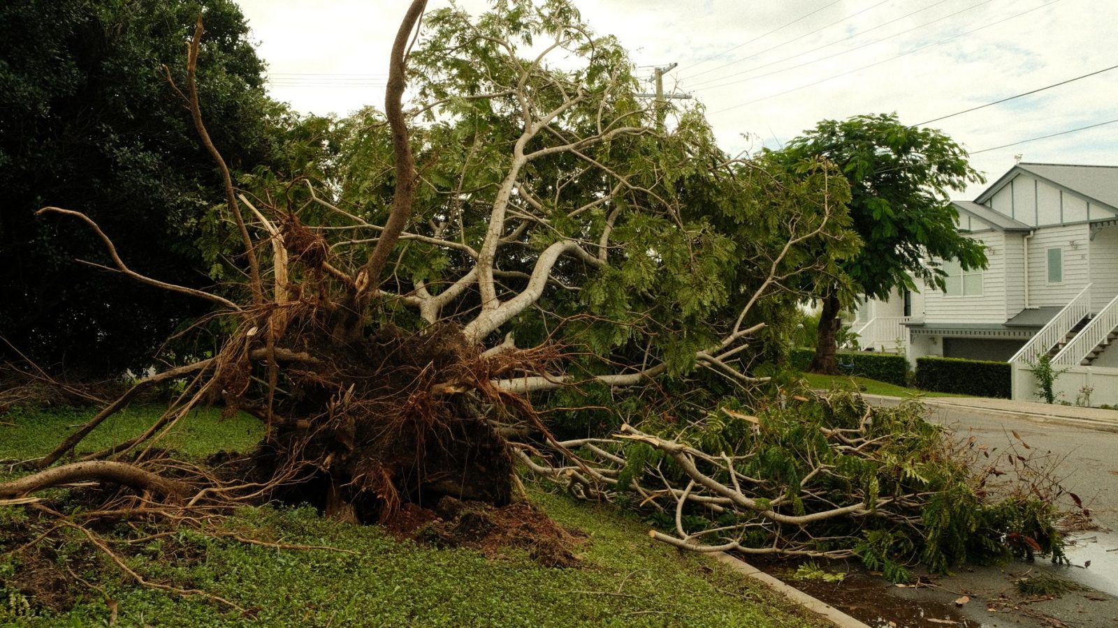 Storm damage in the Netherlands with 90 km/h winds