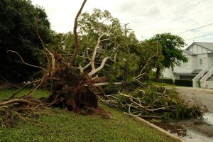 Storm Damage in Netherlands: 90 km/h Winds Wreak Havoc