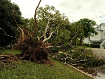 Storm damage in the Netherlands with 90 km/h winds