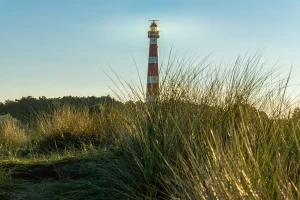 Ameland Tour Incident Triggers Penalty Fears for 32 Wadlopers