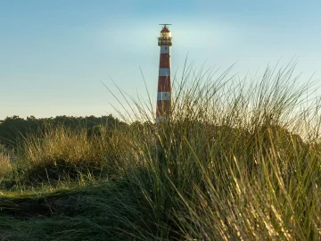Ameland tour incident with 32 wadlopers stranded