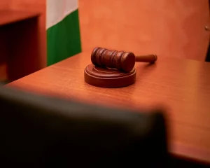 Asylum Permit Revocations: State Council Backs Over 100 Cases