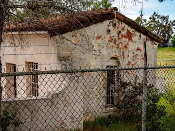 Dutch asylum center safety concerns at Ter Apel