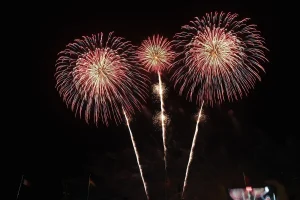 Dutch Fireworks Ban Affects 25% of Municipalities