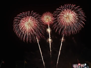 Dutch fireworks ban affects municipalities