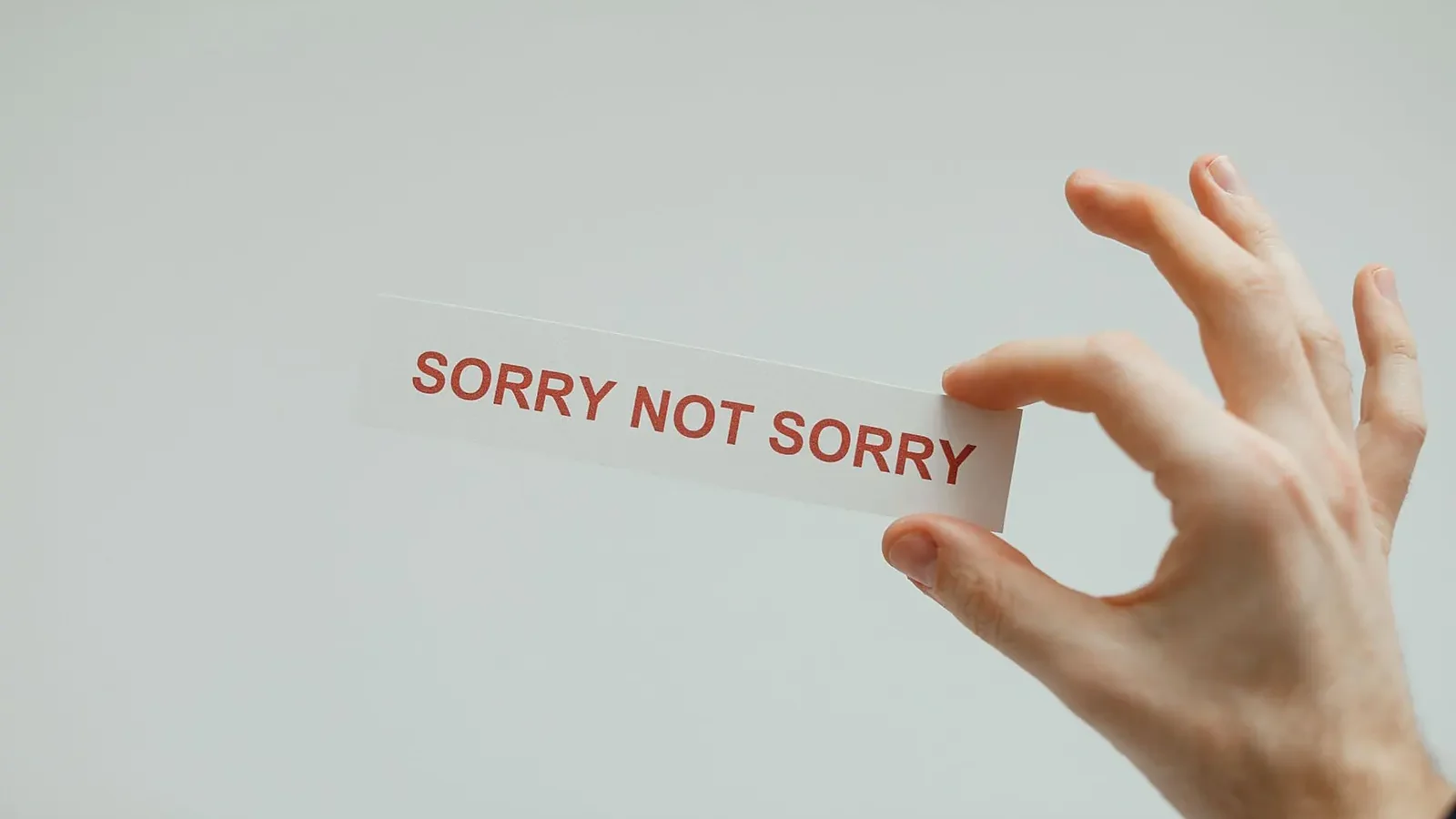 Dutch government's apology for forced adoptions