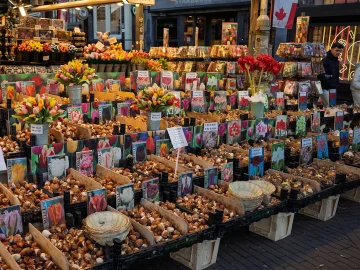 Dutch Inflation Perception Shows 5% Gap Amid Concerns
