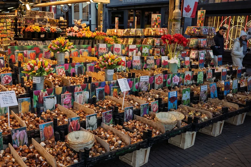 Dutch inflation perception shows gap in 2026