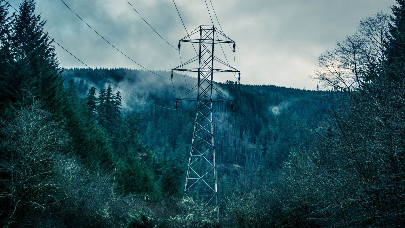 Dutch power grid capacity challenges