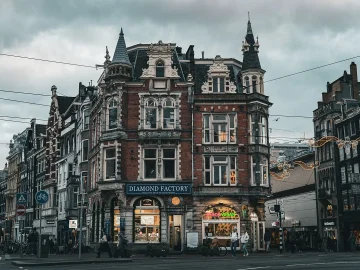 Dutch SME investment decline impacts economy