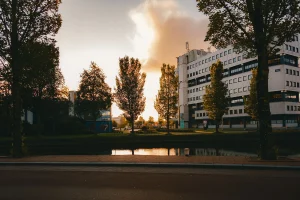 Leeuwarden’s Historic Beer Ban Protest