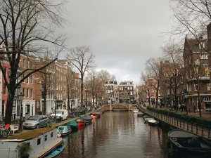 Goudstikker Painting Recovery Rocks Amsterdam Art Scene