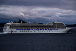 Hantavirus Outbreak Over: 13 Cases on Dutch Ship Confirmed