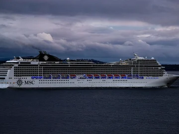 Hantavirus Outbreak Over on Dutch Ship