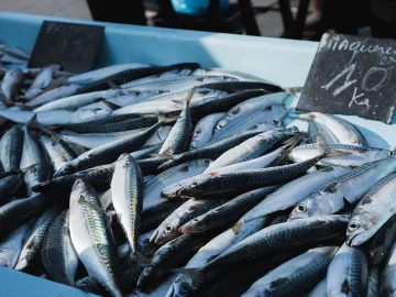IJmuiden fish trade investigation reveals €57,000 cash seizure