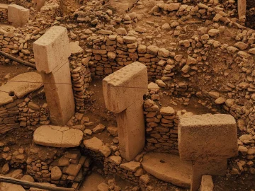 Leiden archaeological discovery wooden posts