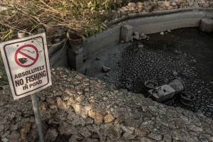 Limburg Water Restrictions Halt Surface Use Amid Drought