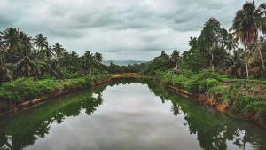 Munition Dangers in Rivers: EOD Warns of Rising Risks