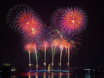 Netherlands firework ban from August 1