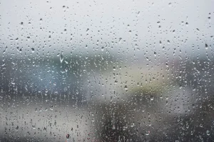 Netherlands Weather Shifts: Rain Followed by 28°C Heatwave